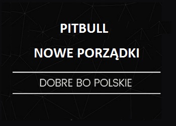 Pitbull. Nowe porządki